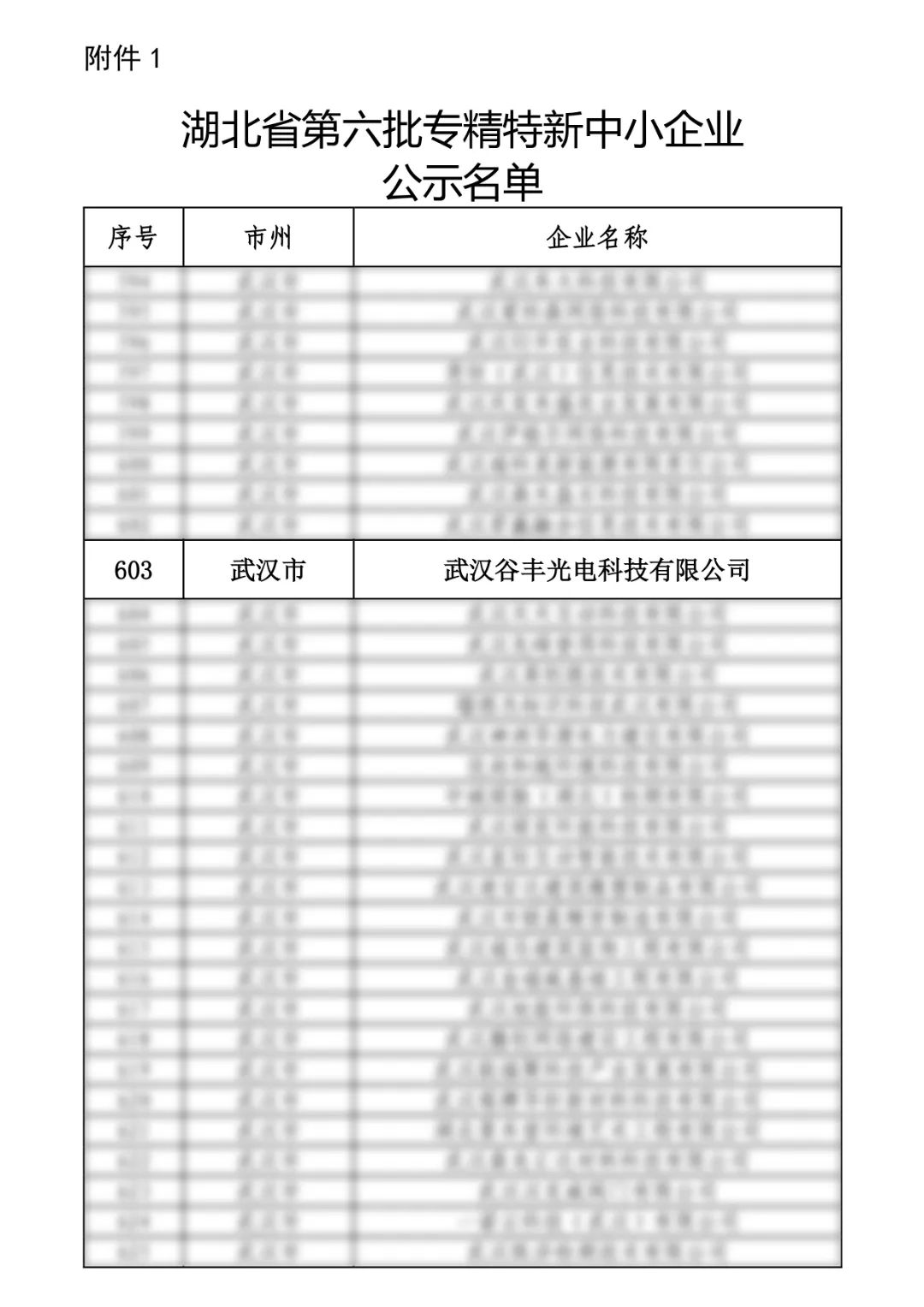 谷豐光電榮獲湖北省第六批專精特新中小企業(yè)認(rèn)定！